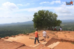 sigiriya - how to get there-Lion Rock Top View - 3