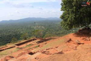 sigiriya - how to get there-Lion Rock Top View - 4