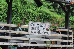 Train Ride from Kandy to Nuwara Eliya - Nanu Oya Station