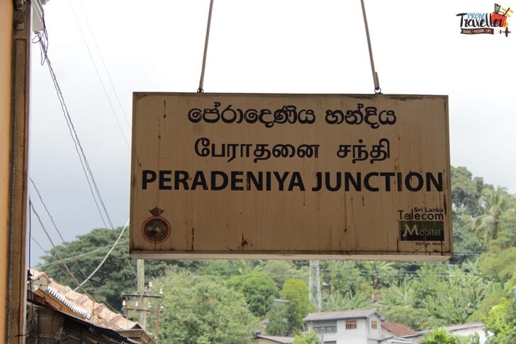 Train Ride from Kandy to Nuwara Eliya - Peradeniya Station