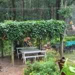 Places to visit around Chikmagalur - Coffee Barn - View 5