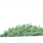sri lanka tour itinerary - Madu River Boat Ride through Mangroves - View 10