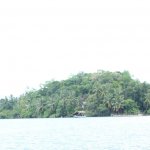 sri lanka tour itinerary - Madu River Boat Ride through Mangroves - View 11