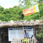 sri lanka tour itinerary - Madu River Boat Ride through Mangroves - View 13 - Fish Spa