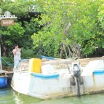 sri lanka tour itinerary - Madu River Boat Ride through Mangroves - View 21