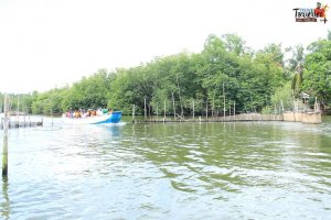 sri lanka tour itinerary - Madu River Boat Ride through Mangroves - View 7