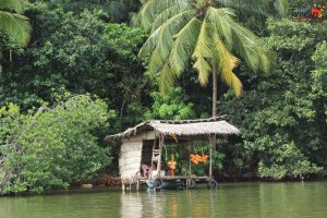 sri lanka tour itinerary - Madu River Boat Ride through Mangroves - View 9- refreshments