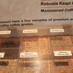 Places to visit arounf Chikmagaur - Pics from Coffee Museum 3