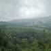 places to visit around chikmagalur - Scenic and Misty Road on route to Buttermilk Falls