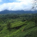 Sri Lanka tour itinerary - Scenic view - Nuwara Eliya